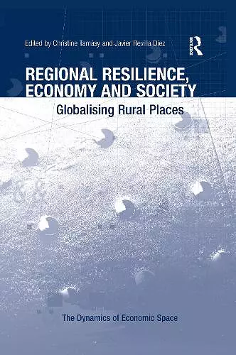 Regional Resilience, Economy and Society cover