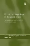 EU Labour Migration in Troubled Times cover