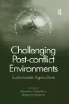 Challenging Post-conflict Environments cover