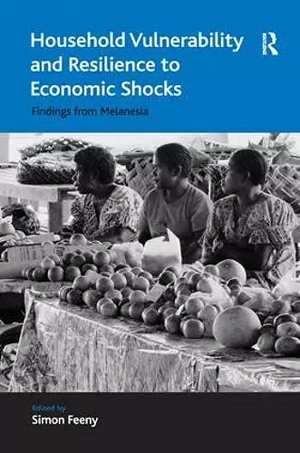 Household Vulnerability and Resilience to Economic Shocks cover