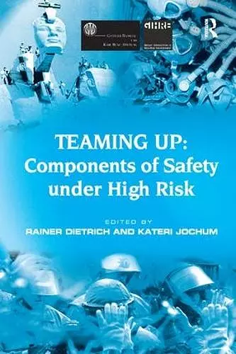 Teaming Up: Components of Safety Under High Risk cover