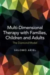 Multi-Dimensional Therapy with Families, Children and Adults cover