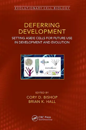 Deferring Development cover