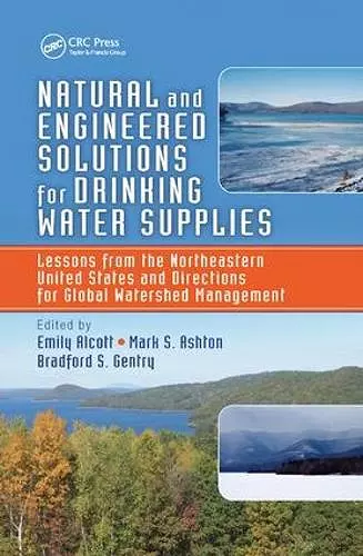 Natural and Engineered Solutions for Drinking Water Supplies cover