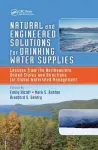 Natural and Engineered Solutions for Drinking Water Supplies cover