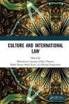 Culture and International Law cover