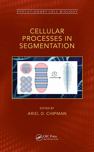 Cellular Processes in Segmentation cover