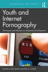 Youth and Internet Pornography cover