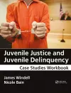 Juvenile Justice and Juvenile Delinquency cover