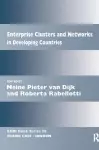 Enterprise Clusters and Networks in Developing Countries cover