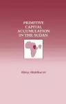 Primitive Capital Accumulation in the Sudan cover