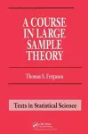 A Course in Large Sample Theory cover