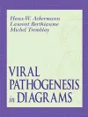 Viral Pathogenesis in Diagrams cover