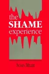 The Shame Experience cover