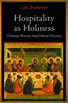 Hospitality as Holiness cover