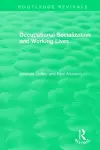 Occupational Socialization and Working Lives (1994) cover