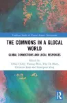 The Commons in a Glocal World cover