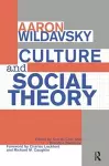 Culture and Social Theory cover