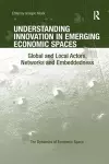 Understanding Innovation in Emerging Economic Spaces cover