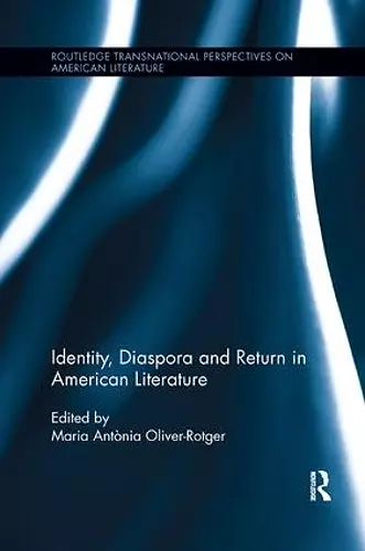 Identity, Diaspora and Return in American Literature cover