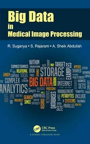 Big Data in Medical Image Processing cover