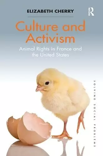 Culture and Activism cover