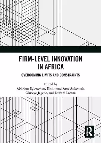 Firm-Level Innovation In Africa cover