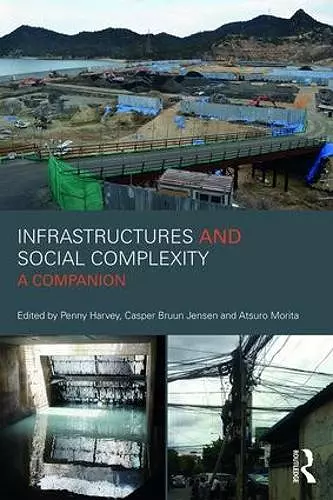 Infrastructures and Social Complexity cover