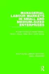Managerial Labour Markets in Small and Medium-Sized Enterprises cover