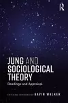 Jung and Sociological Theory cover