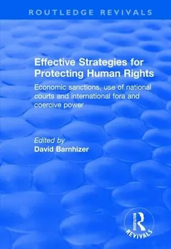 Effective Strategies for Protecting Human Rights cover