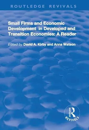 Small Firms and Economic Development in Developed and Transition Economies cover