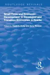 Small Firms and Economic Development in Developed and Transition Economies cover