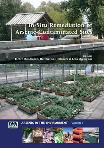 In-Situ Remediation of Arsenic-Contaminated Sites cover