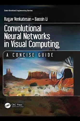 Convolutional Neural Networks in Visual Computing cover