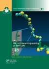 Micro & Nano-Engineering of Fuel Cells cover