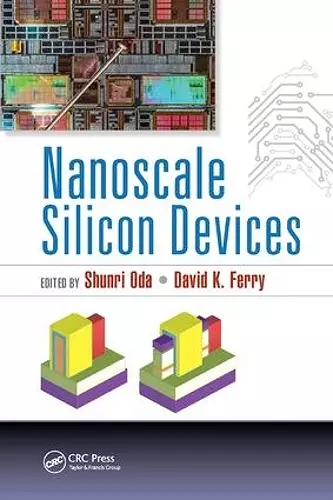 Nanoscale Silicon Devices cover