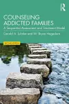 Counseling Addicted Families cover