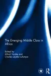 The Emerging Middle Class in Africa cover