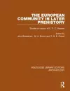 The European Community in Later Prehistory cover