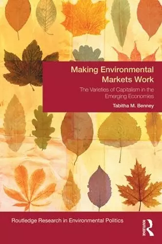 Making Environmental Markets Work cover