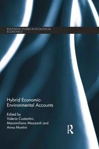 Hybrid Economic-Environmental Accounts cover