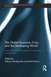 The Global Economic Crisis and the Developing World cover