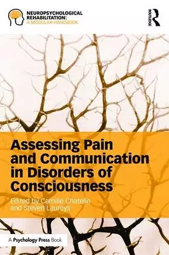 Assessing Pain and Communication in Disorders of Consciousness cover