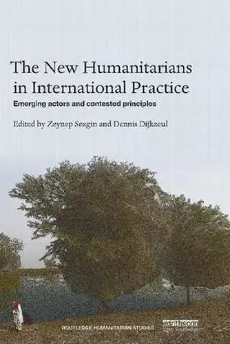 The New Humanitarians in International Practice cover