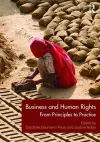 Business and Human Rights cover
