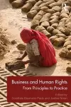 Business and Human Rights cover