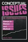 Conceptual Issues in Psychoanalysis cover