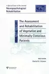 The Assessment and Rehabilitation of Vegetative and Minimally Conscious Patients cover