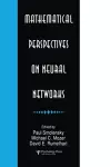 Mathematical Perspectives on Neural Networks cover